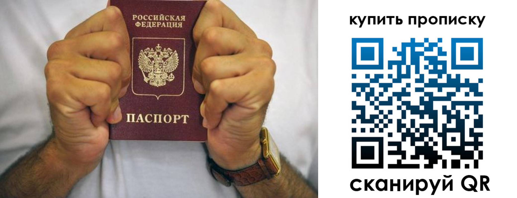 пропишу в квартире в Брянске